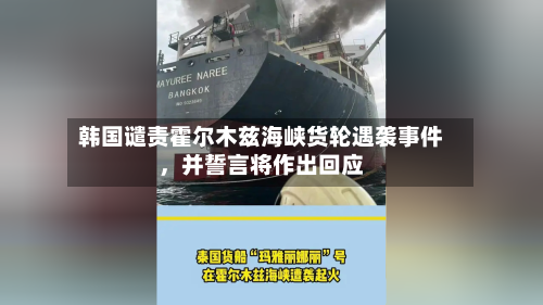 韩国谴责霍尔木兹海峡货轮遇袭事件	，并誓言将作出回应-第2张图片