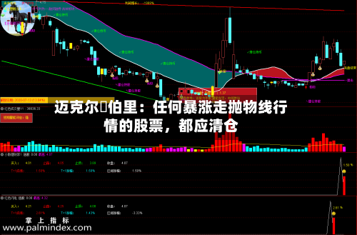 迈克尔・伯里：任何暴涨走抛物线行情的股票，都应清仓-第2张图片