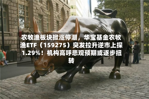 农牧渔板块掀涨停潮	，华宝基金农牧渔ETF（159275）突发拉升逆市上探1.29%！机构高呼悲观预期或逐步扭转-第2张图片