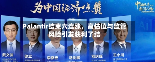 Palantir结束六连涨,高估值与监管风险引发获利了结