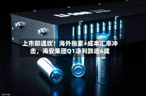 上市即遇坎!海外拖累+成本汇率冲击,海安集团Q1净利跌逾6成